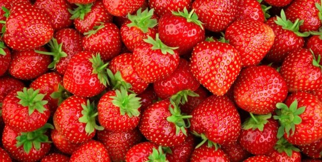 Cerclage de fruits et légumes