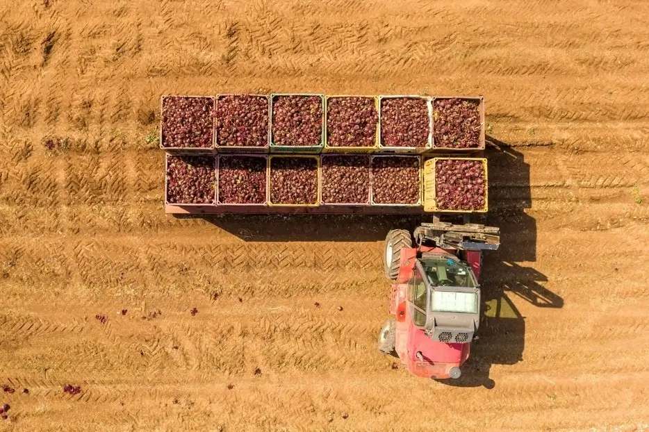 industrie agricole vue aérienne d'un tracteur avec la récolte