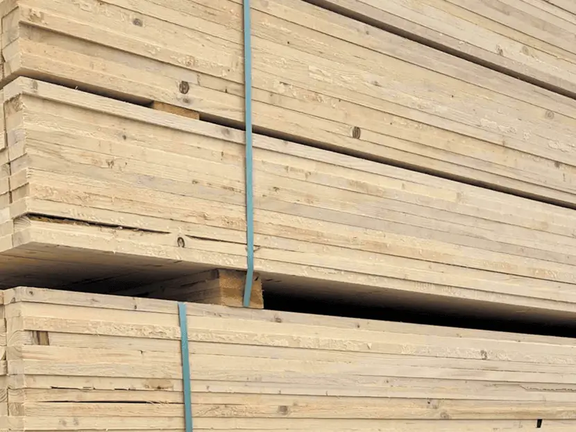 Sawmill and Wood Industry sector – Wood planks being bundled together.