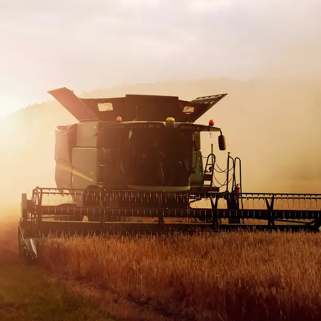 Combine harvester harvesting wheat fields